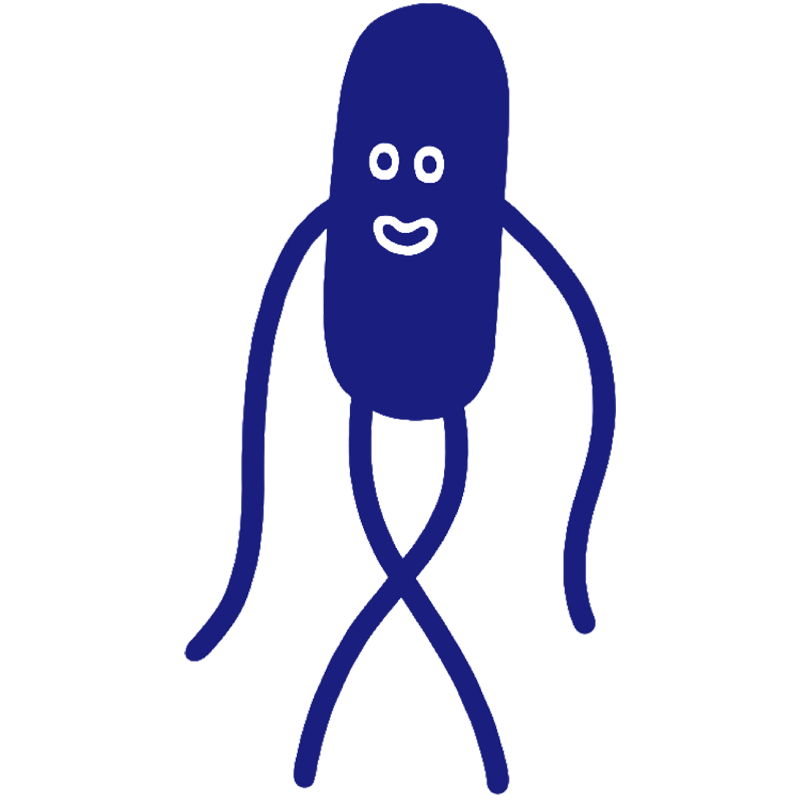 大腸菌
